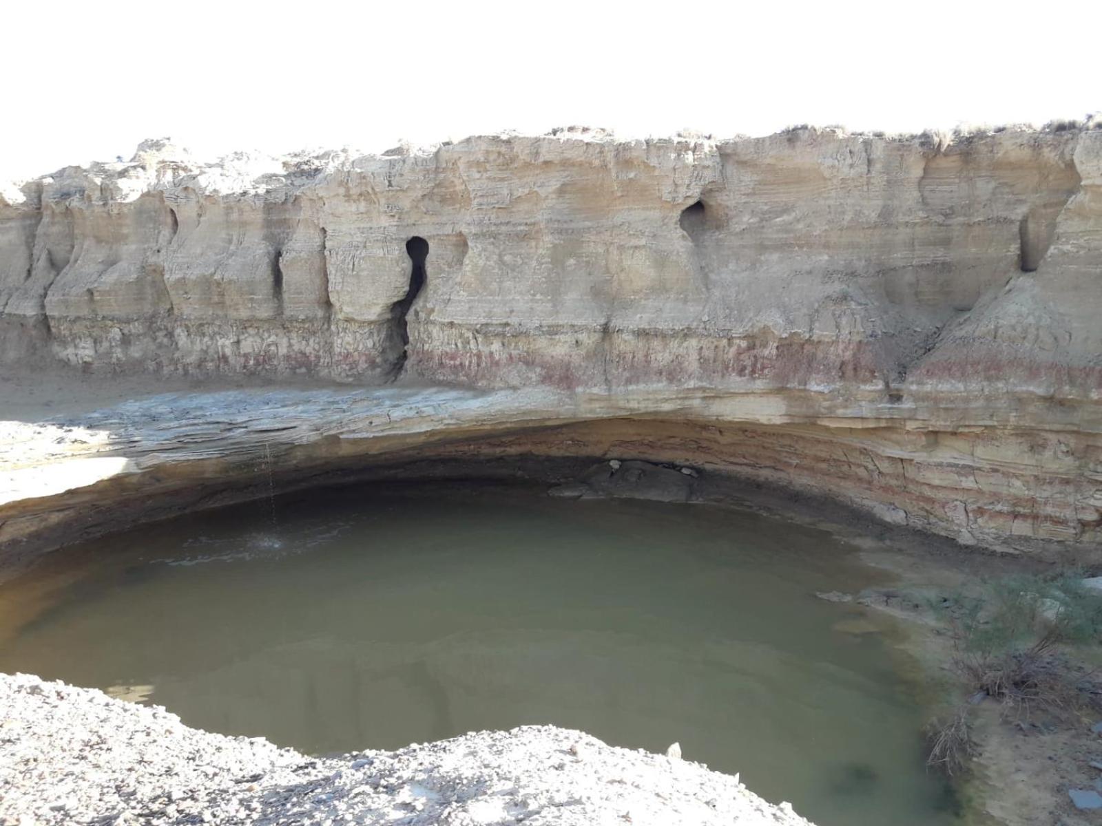 Villa La Manguita Bardenas Arguedas Esterno foto